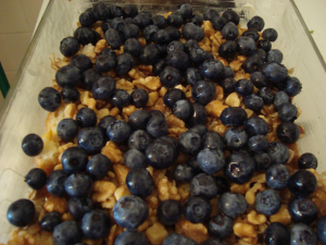 blueberries bryan unbaked